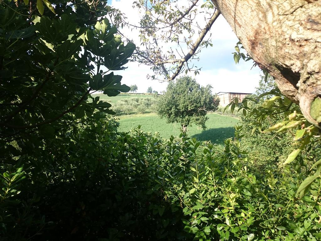 San Ginesio Country House Villa Sabrina المظهر الخارجي الصورة