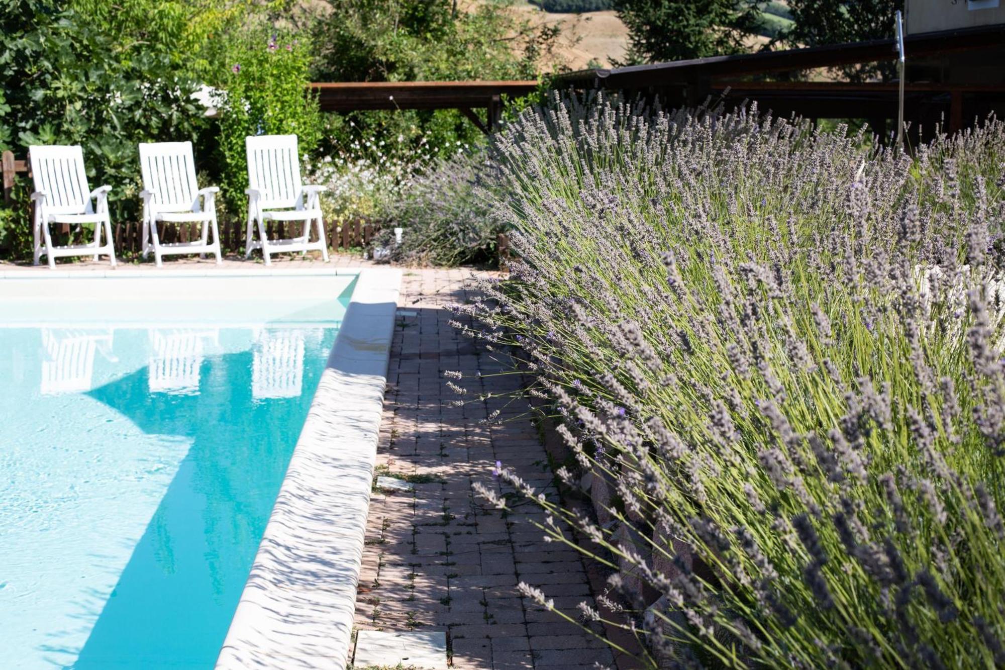 San Ginesio Country House Villa Sabrina المظهر الخارجي الصورة